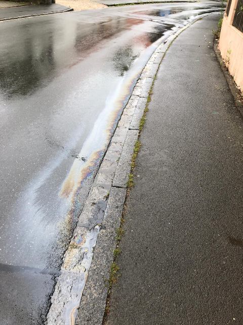 IMG-20200716-WA0003 groß.jpg